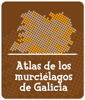 Atlas de murciélagos de Galicia